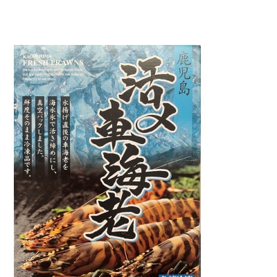 活き〆冷凍車海老 ソフトシェル3L 300g×1パック(5～9尾入り)