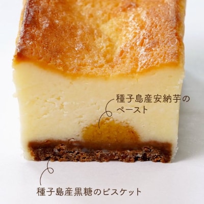 生粋チーズケーキ