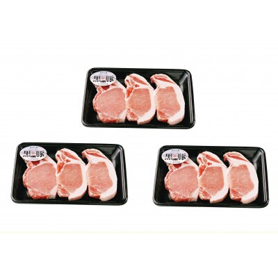 鹿児島黒豚ロースとんかつセット(計900g)【C-801】(中種子町)