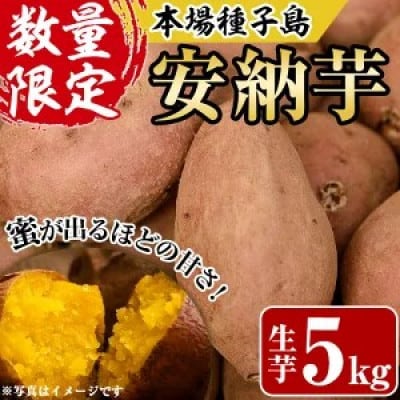 種子島産安納芋　約5kg(S〜Lサイズ)