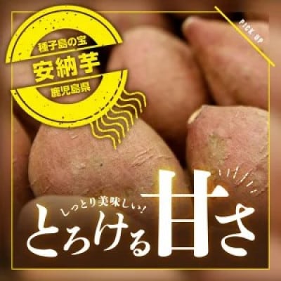 種子島産安納芋　約5kg(S〜Lサイズ)