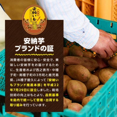 種子島産安納芋　約5kg(S〜Lサイズ)