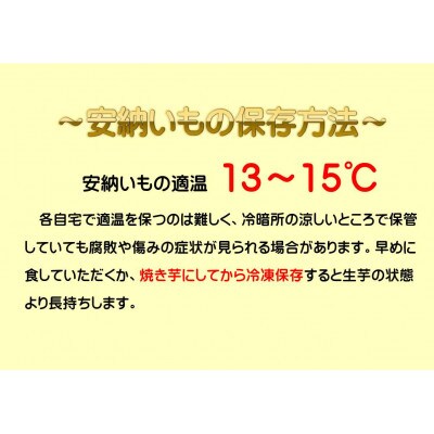 種子島産安納芋5kg