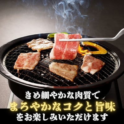【鹿児島県産黒毛和牛】カルビ焼肉・バーベキュー用合計960g(480g×2パック)(中種子町)