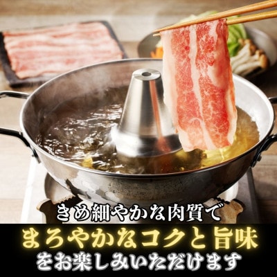 【鹿児島県産黒毛和牛】しゃぶしゃぶ・すき焼き用(200g×1パック)(中種子町)