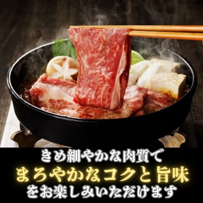 【鹿児島県産黒毛和牛】赤身スライス　480g×1パック(中種子町)
