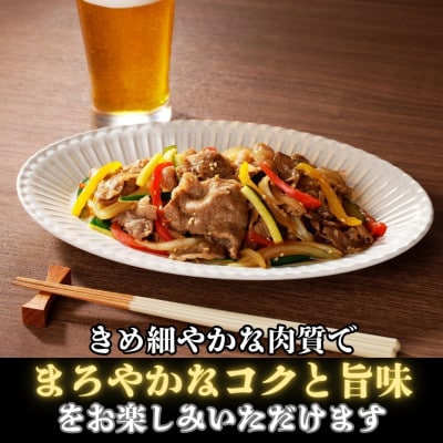 【鹿児島県産黒毛和牛】切り落とし　200g×1パック(中種子町)