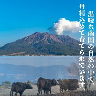【鹿児島県産黒毛和牛】切り落とし　200g×1パック(中種子町)