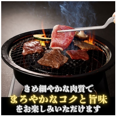 【鹿児島県産黒毛和牛】脂身が苦手な方におすすめ!赤身焼肉(480g×1パック)(中種子町)