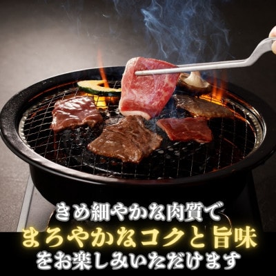 【鹿児島県産黒毛和牛】脂身が苦手な方におすすめ!赤身焼肉(900g×1パック)(中種子町)