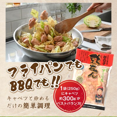 鶏ちゃん専門店「杉の子」味付き鶏ちゃん 250g×3袋【59-1】