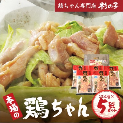 鶏ちゃん専門店「杉の子」味付き鶏ちゃん 250g×5袋【59-2】