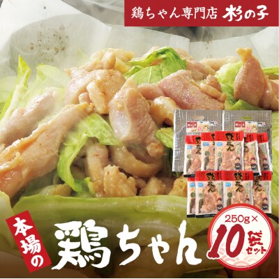 鶏ちゃん専門店「杉の子」味付き鶏ちゃん 250g×10袋【59-3】