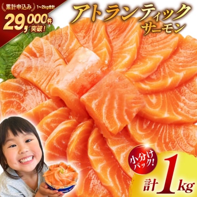 ノルウェー産 アトランティック サーモン 総重量 1kg (正味重量850g) 20565509 鮭