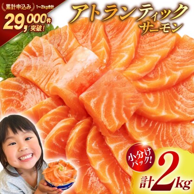 ノルウェー産 アトランティックサーモン 総重量 2kg (正味重量1.7kg) 20564716