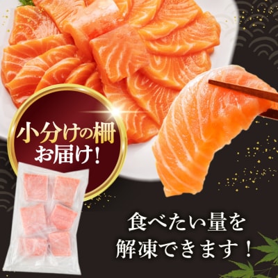 ノルウェー産 アトランティックサーモン 総重量 2kg (正味重量1.7kg) 20564716