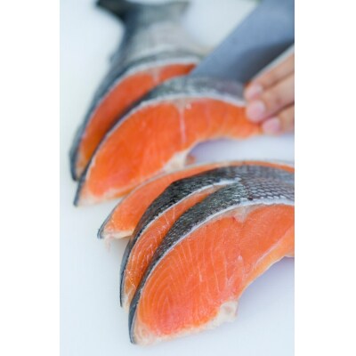 <定期便(3回)・数量限定>氷温 熟成 境港サーモン3種セット(8切×3ヶ月・計24切)