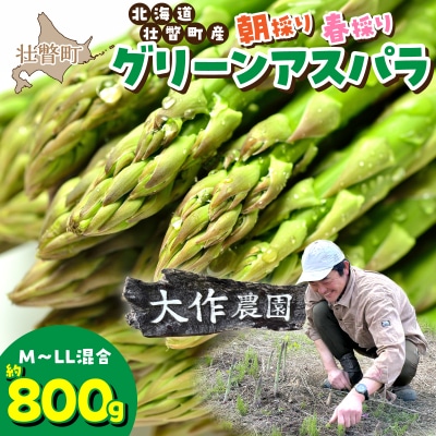 <2026年4月上旬よりお届け>春採りグリーンアスパラM～LL混合　約800g SBTR005