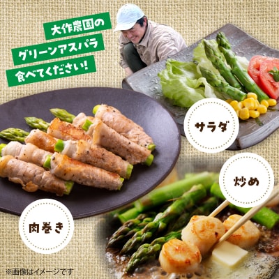 <2026年4月上旬よりお届け>春採りグリーンアスパラM～LL混合　約800g SBTR005