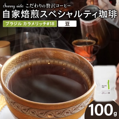 自家焙煎スペシャルティ珈琲 ブラジル カラメリッチ#18(100g/豆のまま)[137S15-01]
