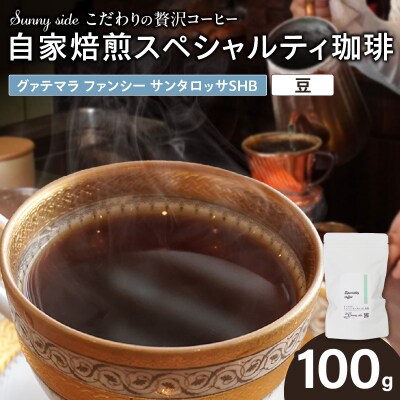 スペシャルティ珈琲 グァテマラ ファンシー サンタロッサSHB 豆100g[137S17-01]