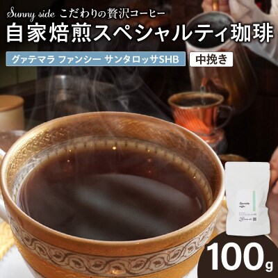 スペシャルティ珈琲 グァテマラ ファンシー サンタロッサSHB 中挽き100g[137S17-02]