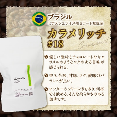 自家焙煎スペシャルティ珈琲 ブラジル カラメリッチ#18(200g/豆のまま)[137S18-01]