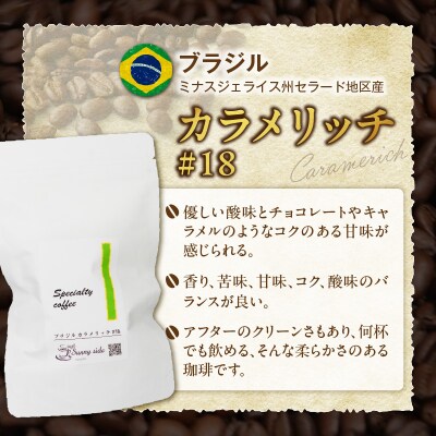 自家焙煎スペシャルティ珈琲 ブラジル カラメリッチ#18(200g/中挽き)[137S18-02]