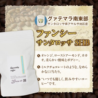 スペシャルティ珈琲 グァテマラ ファンシー サンタロッサSHB 豆200g[137S20-01]