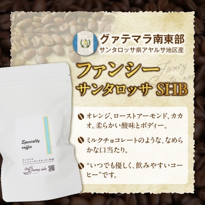 自家焙煎珈琲スペシャルティ珈琲飲み比べセット(300g)(中挽き)[137S21-02]