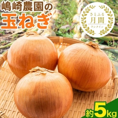 【先行受付】令和8年産北海道十勝本別町嶋崎農園の玉ねぎ約5kg | ふるさと納税のお礼品