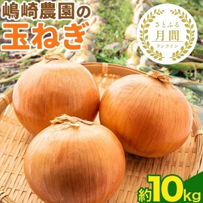 【先行受付】令和8年産北海道十勝本別町嶋崎農園の玉ねぎ約10kg | ふるさと納税のお礼品