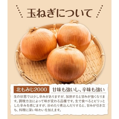 【先行受付】令和8年産北海道十勝本別町嶋崎農園の玉ねぎ約10kg