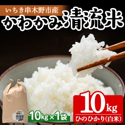 【令和6年度 新米 】米 10kg(10kg×1袋)かわかみ清流米(ひのひかり)