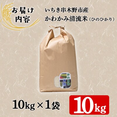 【令和6年度 新米 】米 10kg(10kg×1袋)かわかみ清流米(ひのひかり)