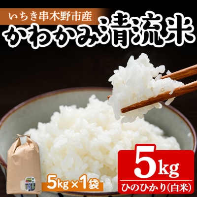 【令和6年度 新米 】米 5kg(5kg×1袋)かわかみ清流米(ひのひかり)