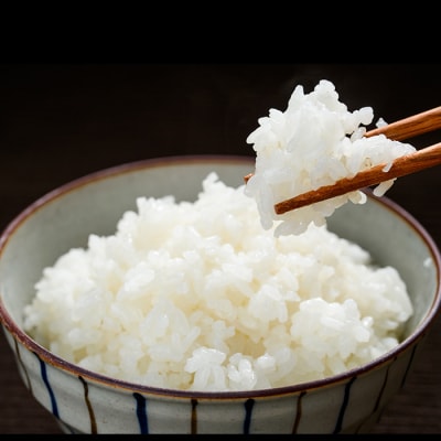 【令和6年度 新米 】米 5kg(5kg×1袋)かわかみ清流米(ひのひかり)