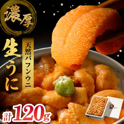 ≪氷温熟成≫生折うに(天然バフンウニ)　120g×1枚_H0009-101