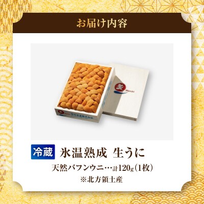 ≪氷温熟成≫生折うに(天然バフンウニ)　120g×1枚_H0009-101