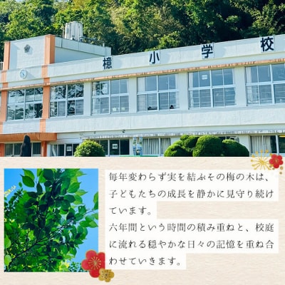 檍の梅酒(720ml瓶)