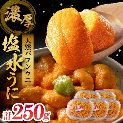 ≪氷温熟成≫塩水うに(天然バフンウニ)　50g×5パック_H0009-105