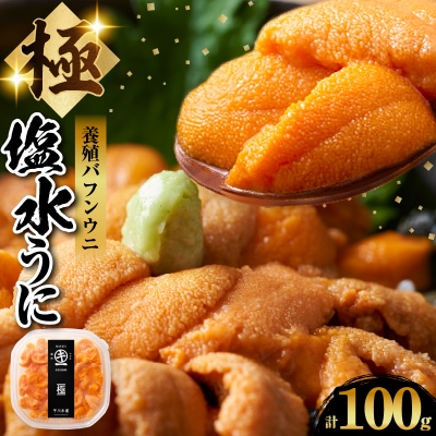 【数量限定】浜中産　養殖エゾバフンウニ(塩水パック)100g_H0009-107