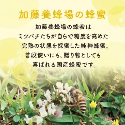 【国産 純粋はちみつ】アカシア蜂蜜 1.2kg 鹿児島産 加藤養蜂場