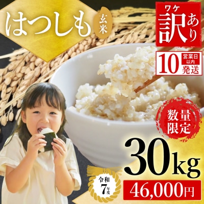 【訳あり】期間限定で寄附額改定!令和7年産 ハツシモ【玄米】30kg 数量限定 L6