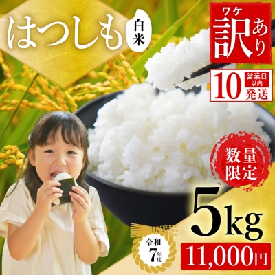 【訳あり】期間限定で寄附額改定!令和7年産 ハツシモ【白米】5kg 数量限定 M8