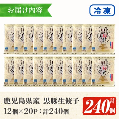 鹿児島黒豚生餃子 合計240個(12個×20P)タレ付き!国産野菜使用!【60日以内配送】