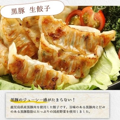 鹿児島黒豚生餃子 合計144個(12個×12P)タレ付き!国産野菜使用【60日以内配送】