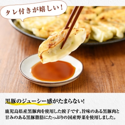 鹿児島黒豚生餃子 合計144個(12個×12P)タレ付き!国産野菜使用【60日以内配送】