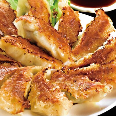 鹿児島黒豚生餃子(柚子胡椒風味)合計144個(12個×12P) 国産野菜使用!