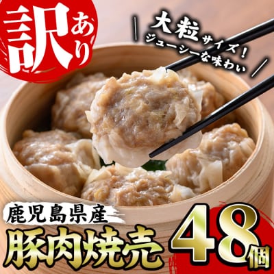 【訳あり】鹿児島県産豚肉使用 焼売48個セット(45g×48個 合計2kg超え!)